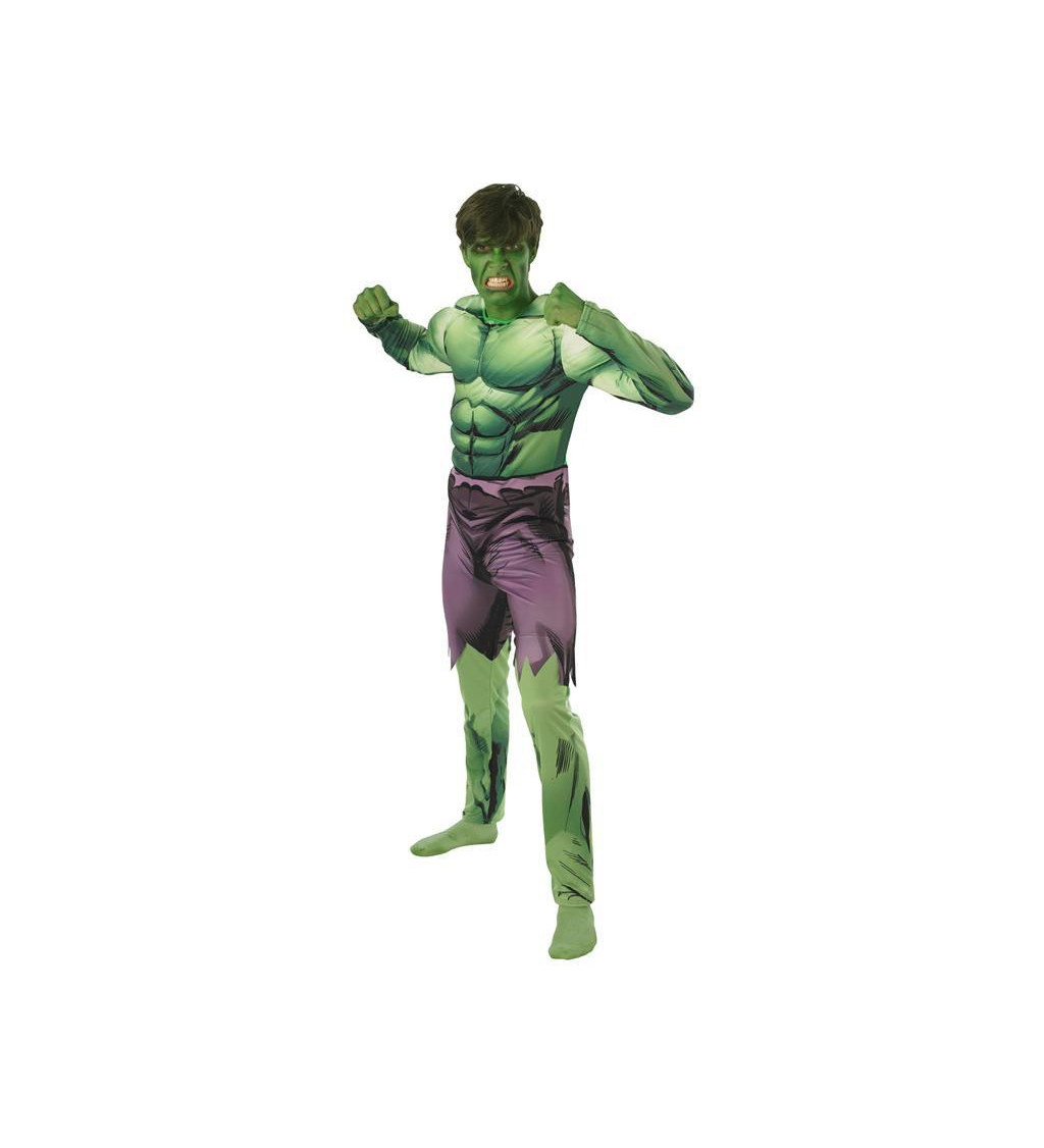 Pánský kostým Hulk