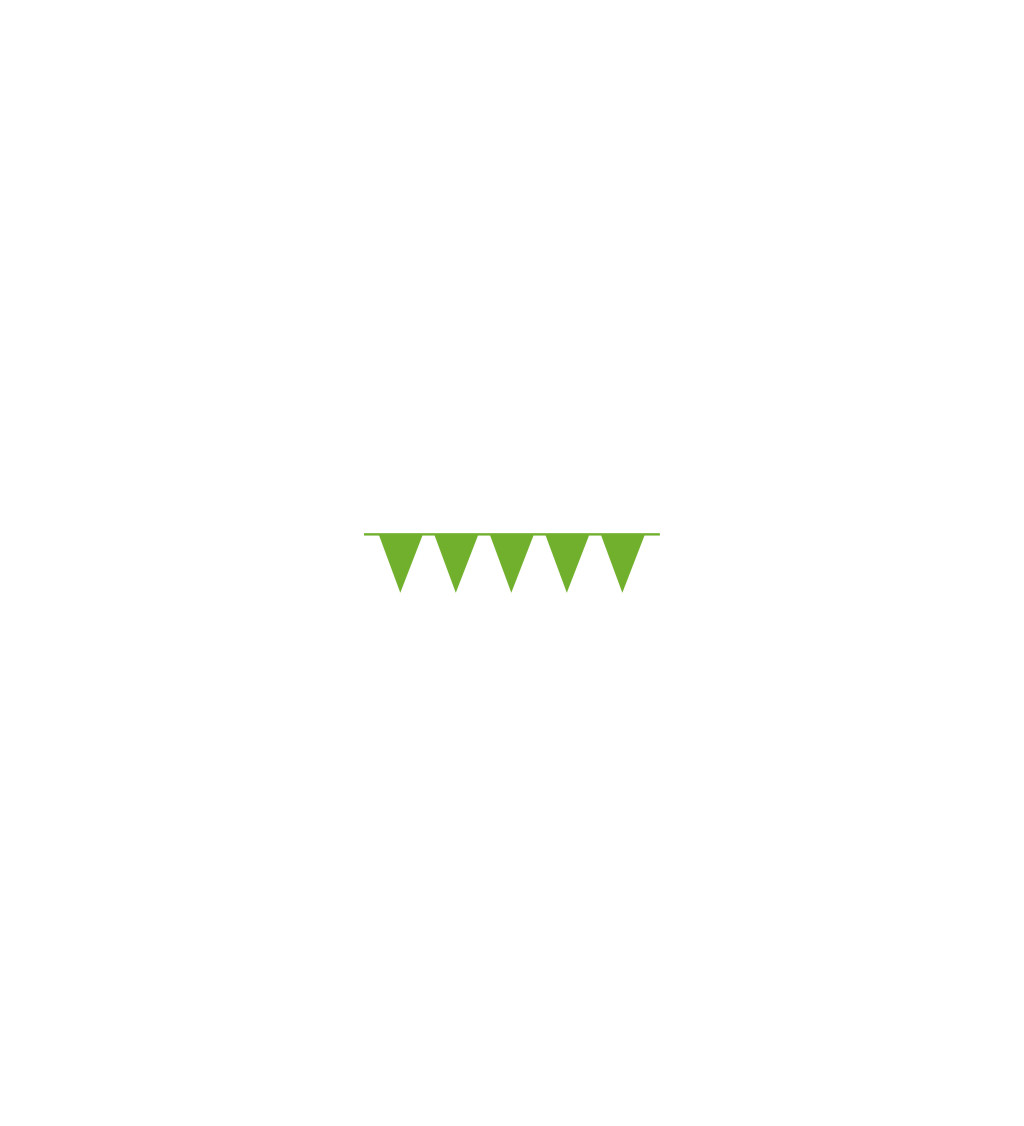 Vlajková girlanda - zelená