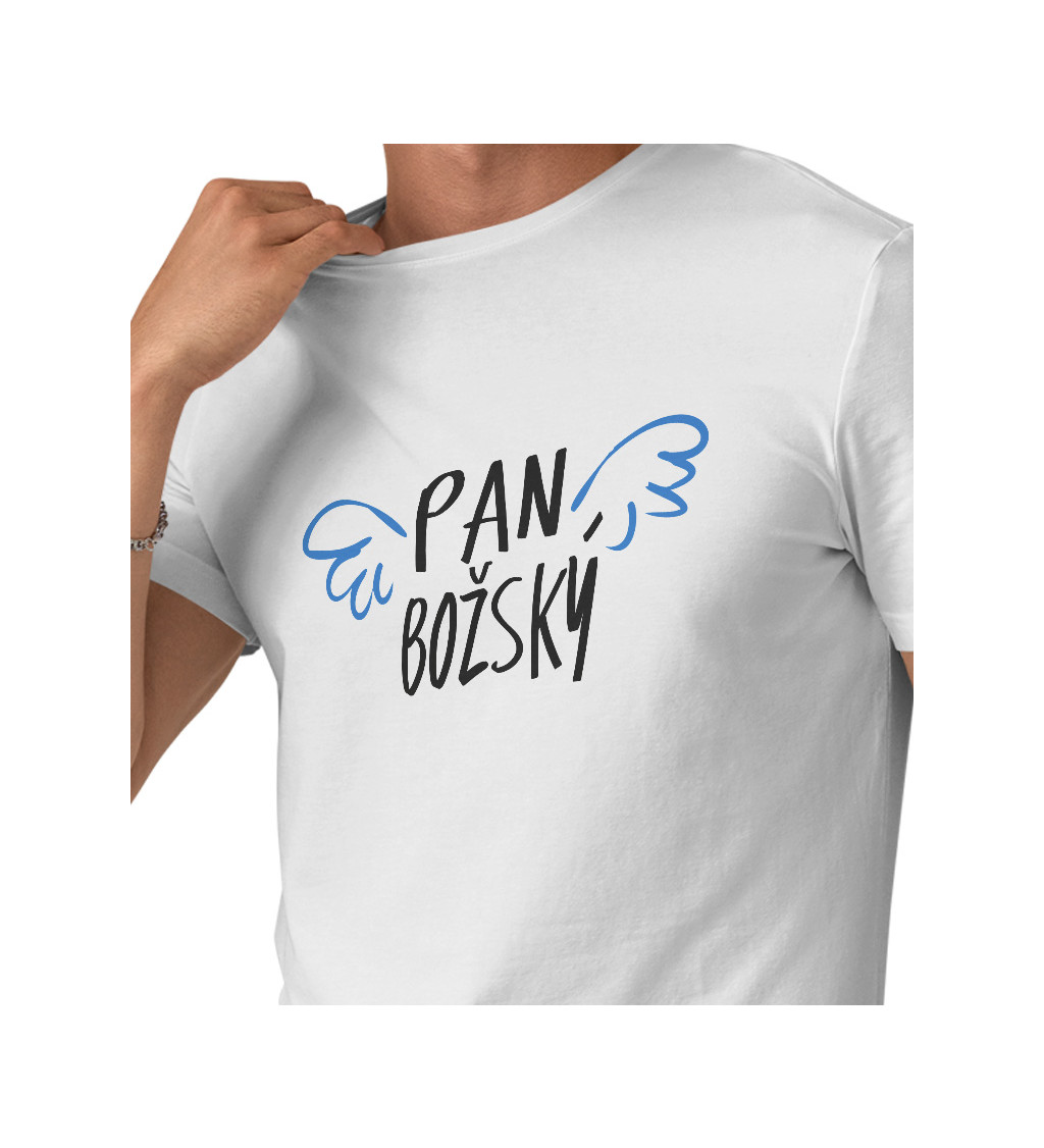 Pánské triko s nápisem - Pan božský, křídla