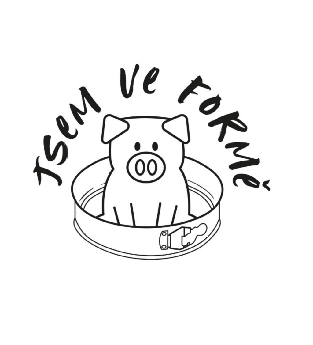 Dámské tričko bílé Jsem ve formě XS