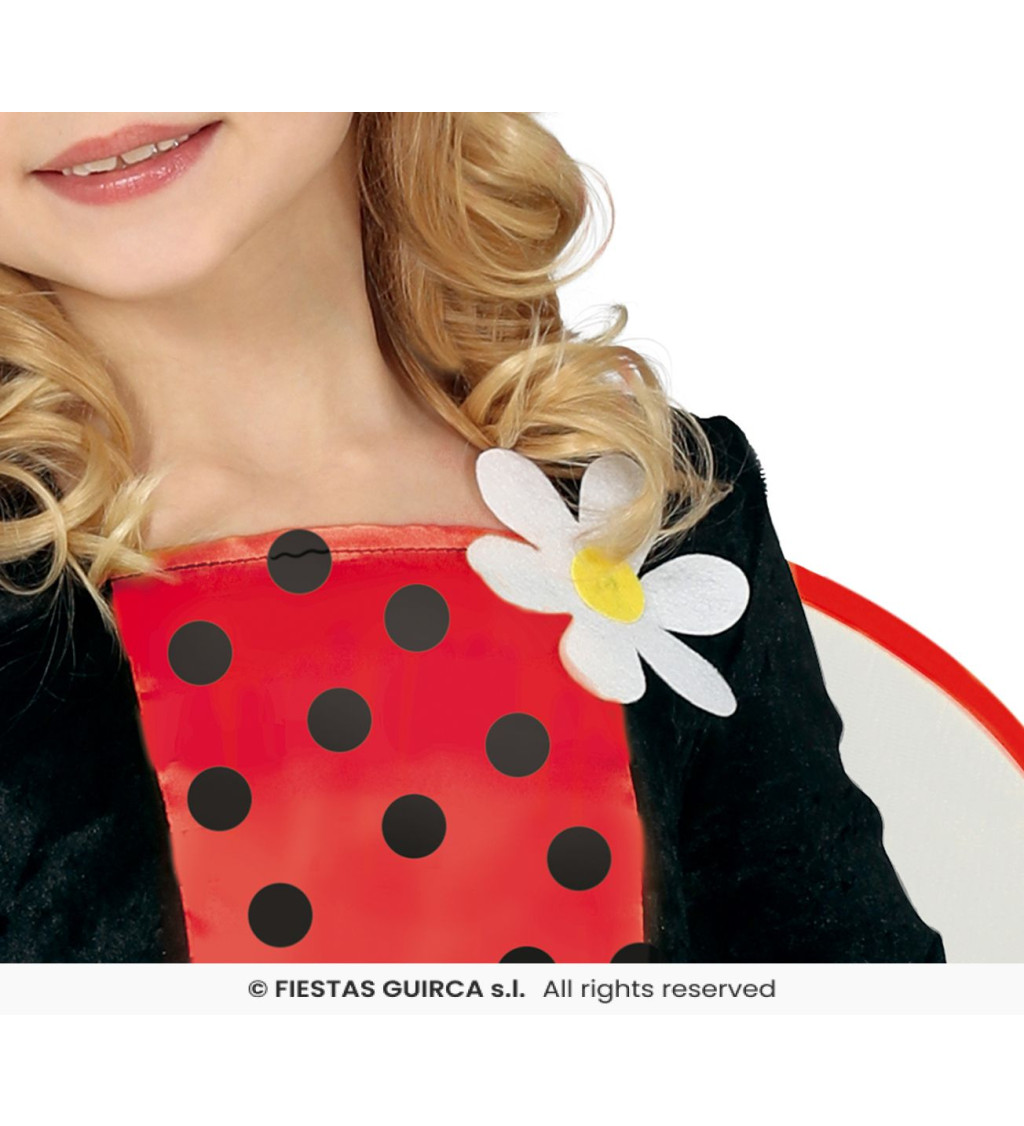 Dětský kostým - Beruška