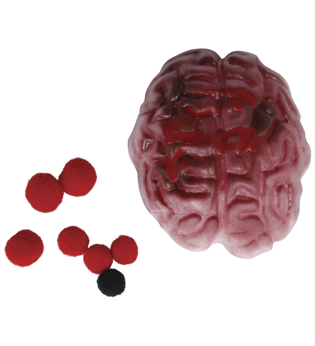 Mačkací lidský orgán – mix druhů, 10 cm