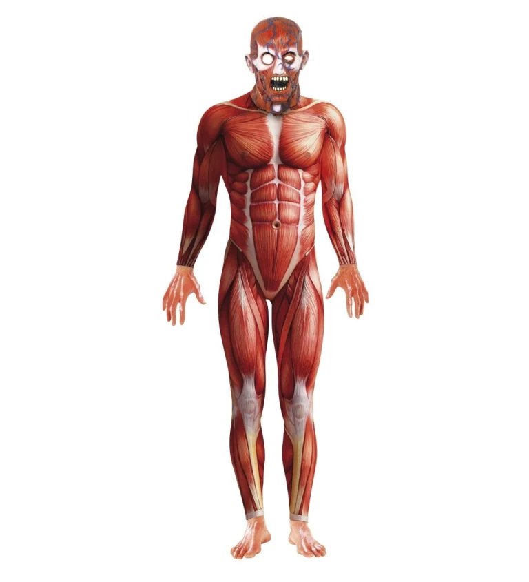 Pánský kostým Anatomie mužského těla